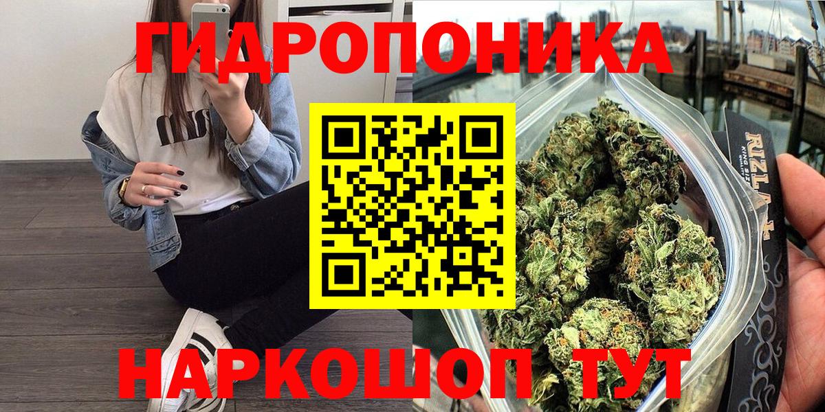 Каннабис индика Клин